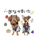 ♡たきびちゃん＆はなびちゃん（個別スタンプ：6）