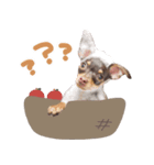 ♡たきびちゃん＆はなびちゃん（個別スタンプ：8）