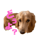 らぶぞぅa（個別スタンプ：2）