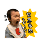 拳丸1歳記念スタンピ（個別スタンプ：11）