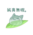 デザート猫！！（個別スタンプ：22）