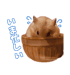 ◯はむちゃんのスタンプ◯（個別スタンプ：3）