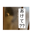 おれ、オレオ。2（個別スタンプ：4）