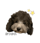 Vivi's room（個別スタンプ：16）