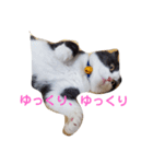 大福と暮らす毎日（個別スタンプ：5）