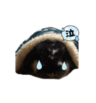 いつでもプーちゃん♪（個別スタンプ：6）