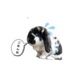 いつでもプーちゃん♪（個別スタンプ：10）