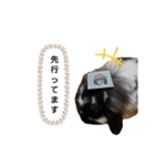 いつでもプーちゃん♪（個別スタンプ：11）