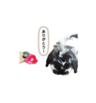 いつでもプーちゃん♪（個別スタンプ：15）