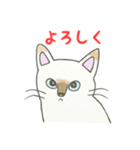 ツンデレかわいい猫・ねこ・ネコ（個別スタンプ：23）