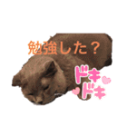 ヒロくんマン（個別スタンプ：24）