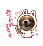 ありしなちゃんのすたんぷ（個別スタンプ：4）