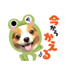 ありしなちゃんのすたんぷ（個別スタンプ：8）