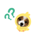 ありしなちゃんのすたんぷ（個別スタンプ：14）