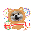 ポメのひめちゃん（個別スタンプ：6）