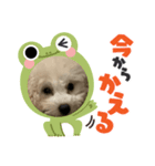 ぷりんさんのスタンプ©️（個別スタンプ：1）