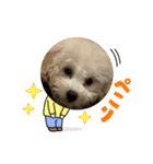 ぷりんさんのスタンプ©️（個別スタンプ：3）