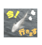 のべたん__stamp（個別スタンプ：8）