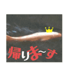 のべたん__stamp（個別スタンプ：9）