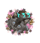 チビ猫三兄弟＆後輩チビ助（個別スタンプ：4）
