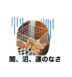 ピンポン君チャンネルスタンプ（個別スタンプ：2）