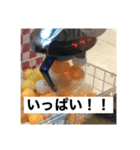 ピンポン君チャンネルスタンプ（個別スタンプ：8）