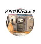 ピンポン君チャンネルスタンプ（個別スタンプ：10）