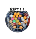ピンポン君チャンネルスタンプ（個別スタンプ：11）