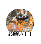 ピンポン君チャンネルスタンプ（個別スタンプ：12）