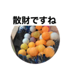 ピンポン君チャンネルスタンプ（個別スタンプ：16）
