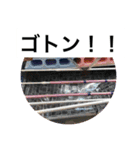 ピンポン君チャンネルスタンプ（個別スタンプ：17）