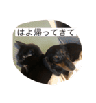 いちゅきとしんちゃん（個別スタンプ：8）