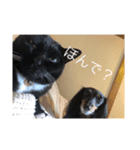 いちゅきとしんちゃん（個別スタンプ：12）