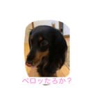 いちゅきとしんちゃん（個別スタンプ：13）