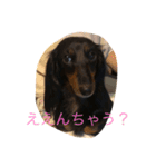 いちゅきとしんちゃん（個別スタンプ：15）