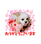 ミルスタンプ②（個別スタンプ：3）