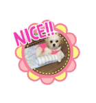 ミルスタンプ②（個別スタンプ：11）