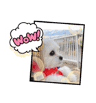 ミルスタンプ②（個別スタンプ：16）