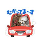 ミルスタンプ②（個別スタンプ：23）
