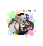 うちの花子と桃子（個別スタンプ：10）
