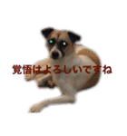 すんたらすたんぷ(多1)（個別スタンプ：5）