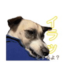 すんたらすたんぷ(多1)（個別スタンプ：6）