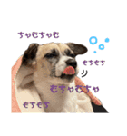 すんたらすたんぷ(多1)（個別スタンプ：13）
