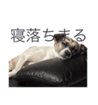 すんたらすたんぷ(多1)（個別スタンプ：14）
