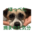 すんたらすたんぷ(多1)（個別スタンプ：15）