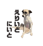 すんたらすたんぷ(多1)（個別スタンプ：16）