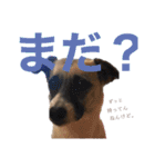 すんたらすたんぷ(多1)（個別スタンプ：18）