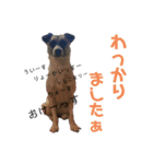 すんたらすたんぷ(多1)（個別スタンプ：20）