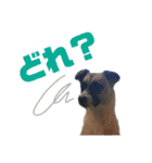 すんたらすたんぷ(多1)（個別スタンプ：22）