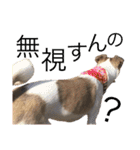 すんたらすたんぷ(多1)（個別スタンプ：24）